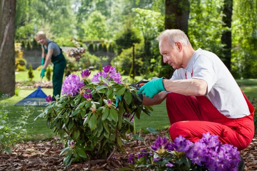 Sustainable tree surgery recycling and waste separation in Lewisham