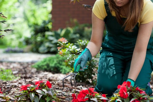 Booking and quotation process for tree surgery services