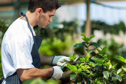 Waste removal and responsible disposal after tree work