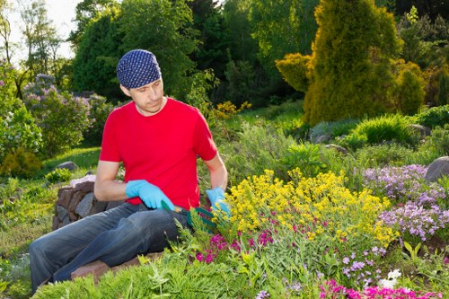 Professional assessment of tree surgery service concerns