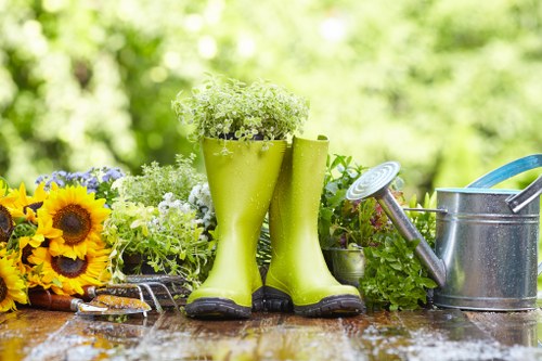 Local tree removal service covering Lewisham and nearby areas